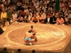 japan_tag3_46.jpg