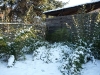 2009-01-Schnee_01.jpg